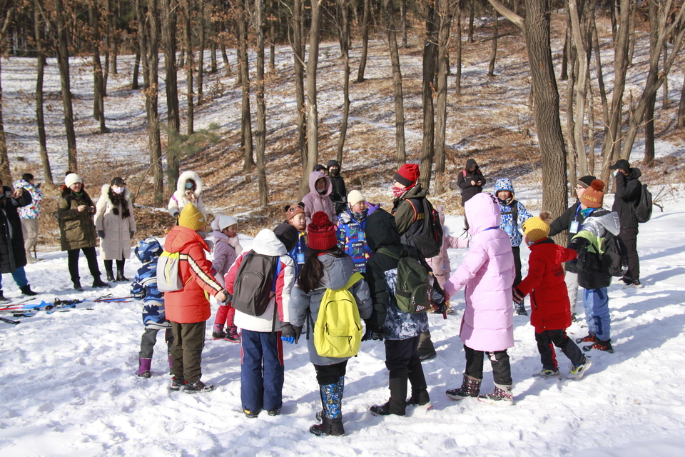 Ib37A-njq_tmce9CftHDagLbmOcsUoQ9KHK3j_bDQxkfXqN6thTaSHbIJVLphIK9