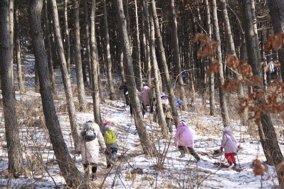 86IIAPXWxnybKB-7chBApbRswnVNRoiL3kl51L425Wz8VJu3ZQ13JkdPJ6yJLoDe