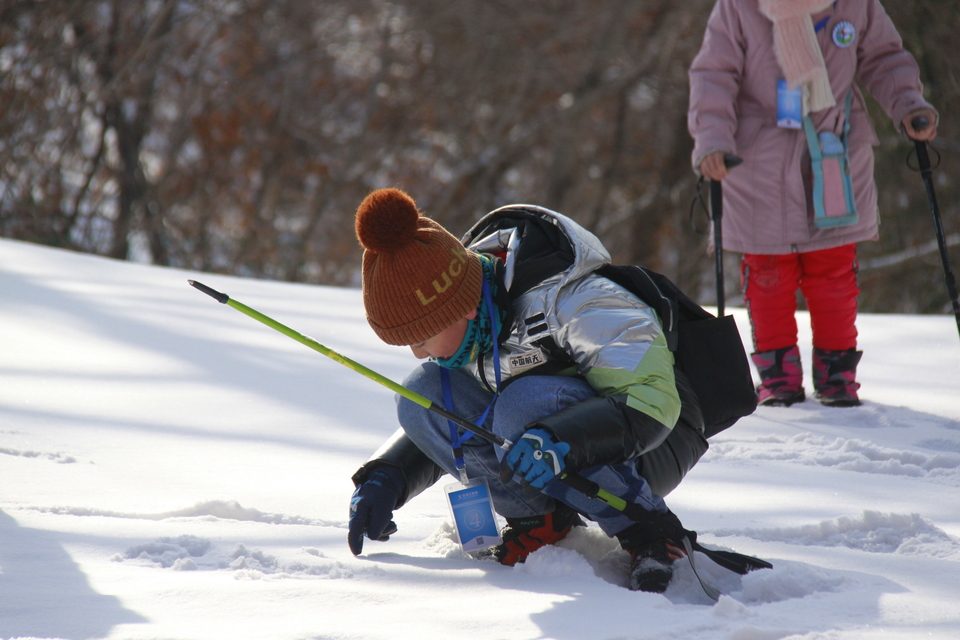 86IIAPXWxnybKB-7chBApXmXeux6_VlH5WhBOeZxGEE60C3qquRmJjS5LjIVizu_