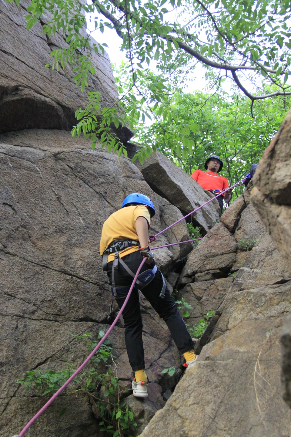 CdQA-BrizjbvqZ4ghUlUSAxrm54ArG2qKYtrFZUlViNXmOCavpMF86HV9ang1wp5