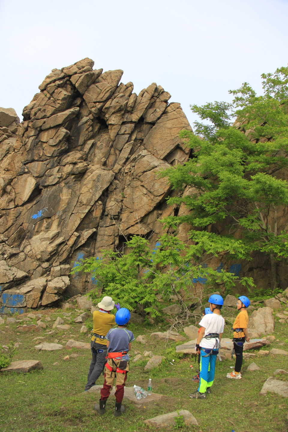 dCtkO85KjwamAMcJz87gbgR1GpGbb6rNjrB9TEVo0fGTH2lMzzOv1iDOBEiZ7bUq