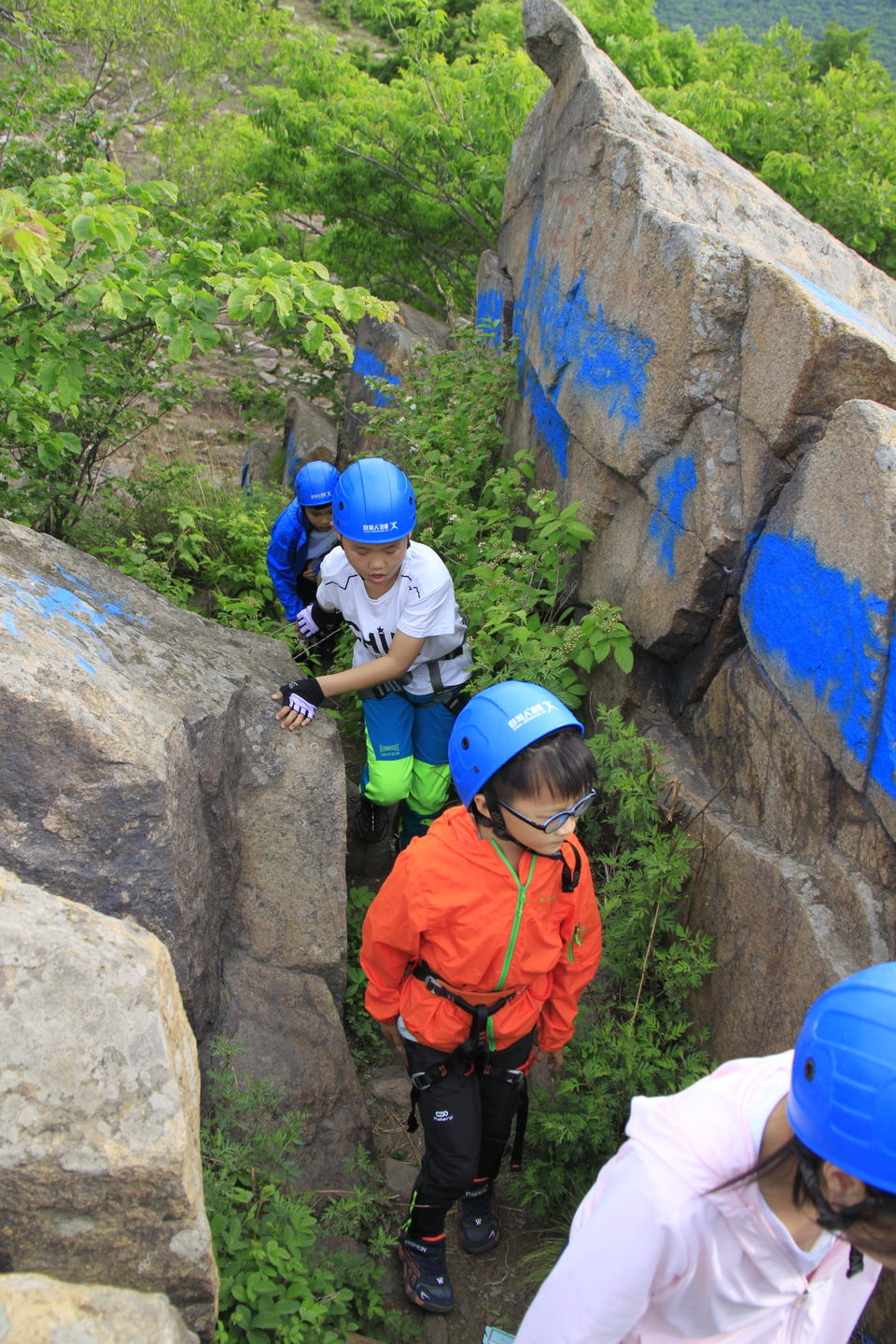 yWXORHI0VsFWCIXv22xM9He6VierrFOlCPzpYjy1dJ57BjM8Dj2m84vwCg_PMkph