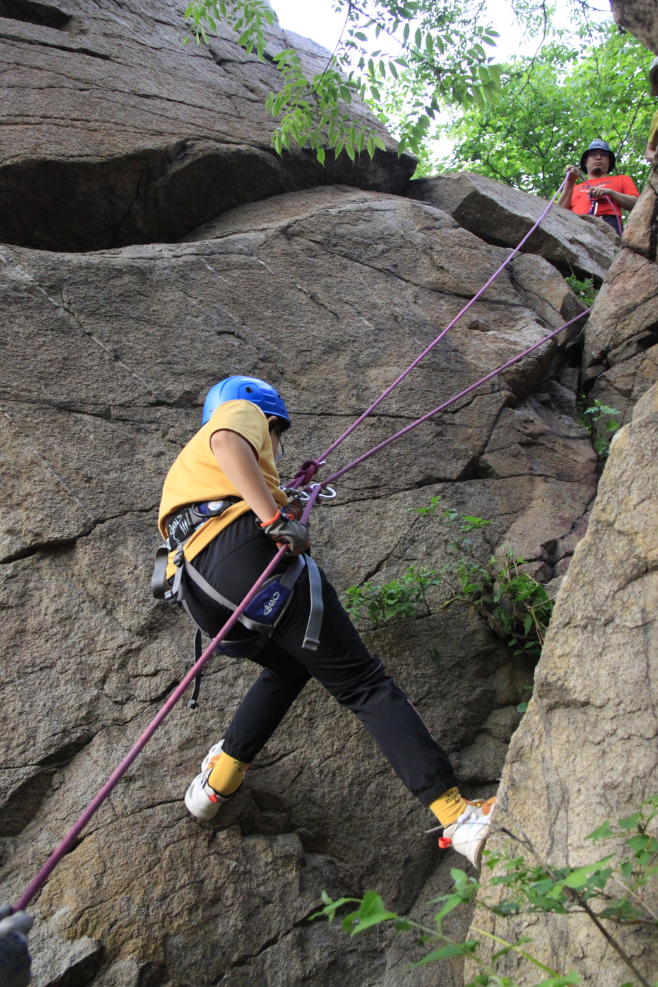 pgjl1pnSDFPxWfM6Mi4fHWg9osckUjvVBH1Tkz1BTxL26B5auDcY2rc-voWPrGpr