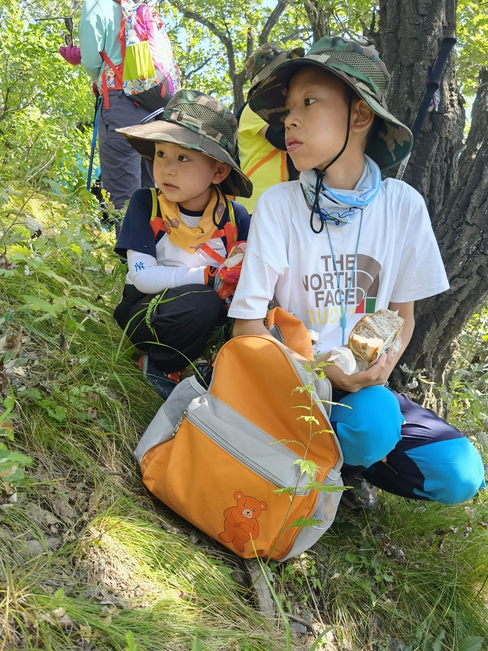 n2yx03t3xnSIMcICPEpX1rbJAoYcUCKi8F4mKabRC8PMgQ8Pf966vg1aNDR2s2_S