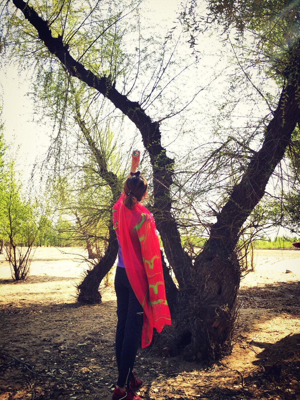 A534DE16-824E-4741-B00C-D7B7650258B8-3204-0000059C122ECFEB