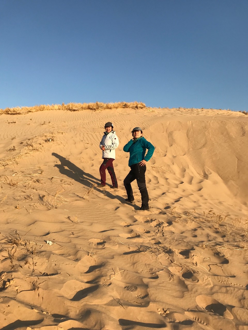 6C467EB1-DC90-43E7-91B5-9B07F9D386A6