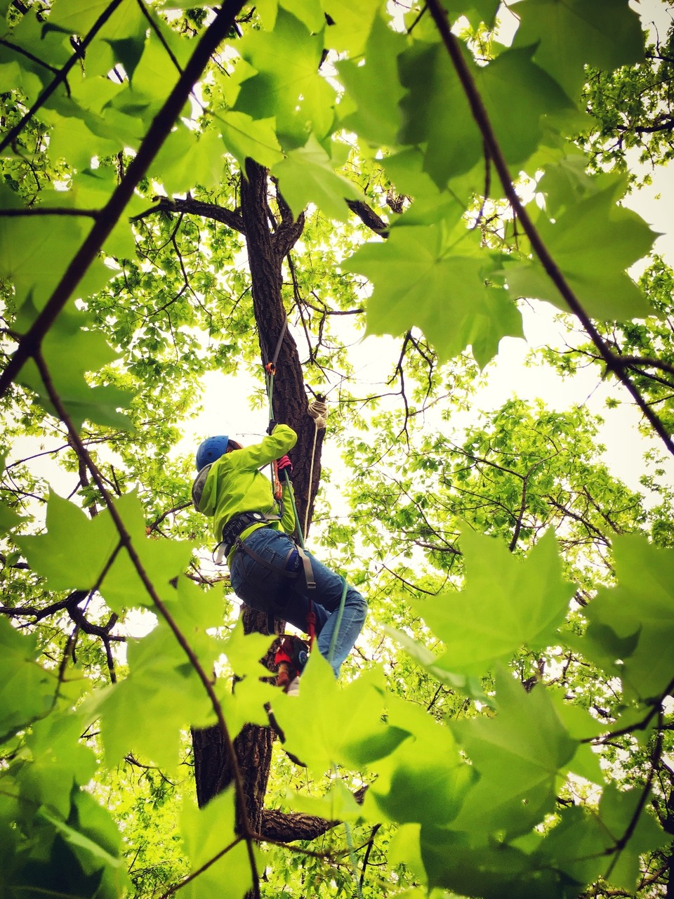 8DF58B3E-E5BB-44F6-93D8-2A7CB8CA2A0B-1558-00000204FB28B10F