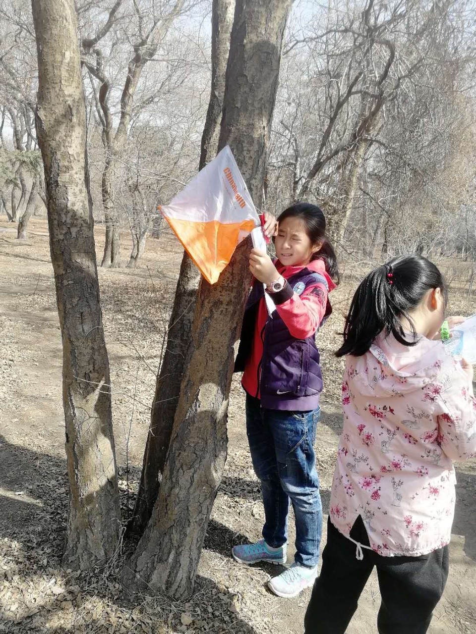 7B055523-D4D1-462D-8312-03F88B37558A