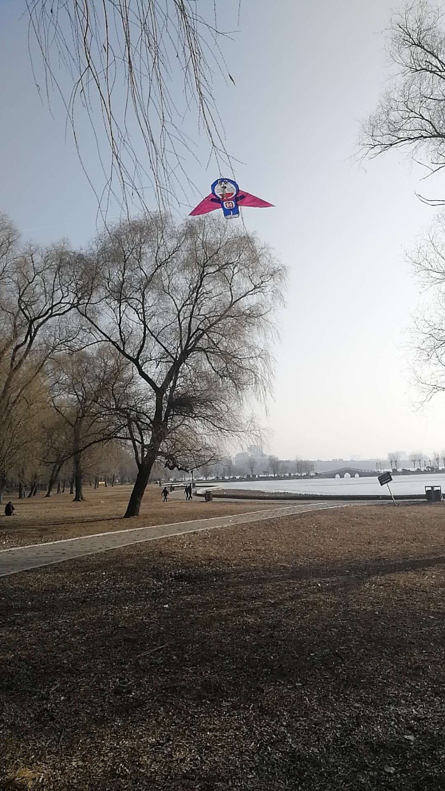 62445E7E-9AC6-44FF-B719-1DD00D50EF69