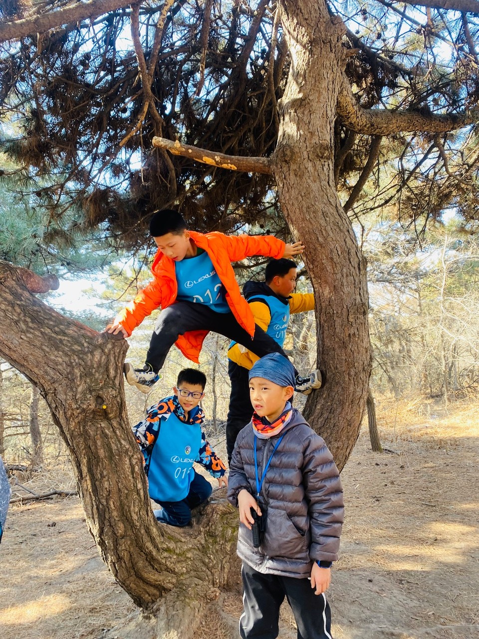 2ECF1017-DBC8-4F9A-8B6A-C90EC2D5DDFB