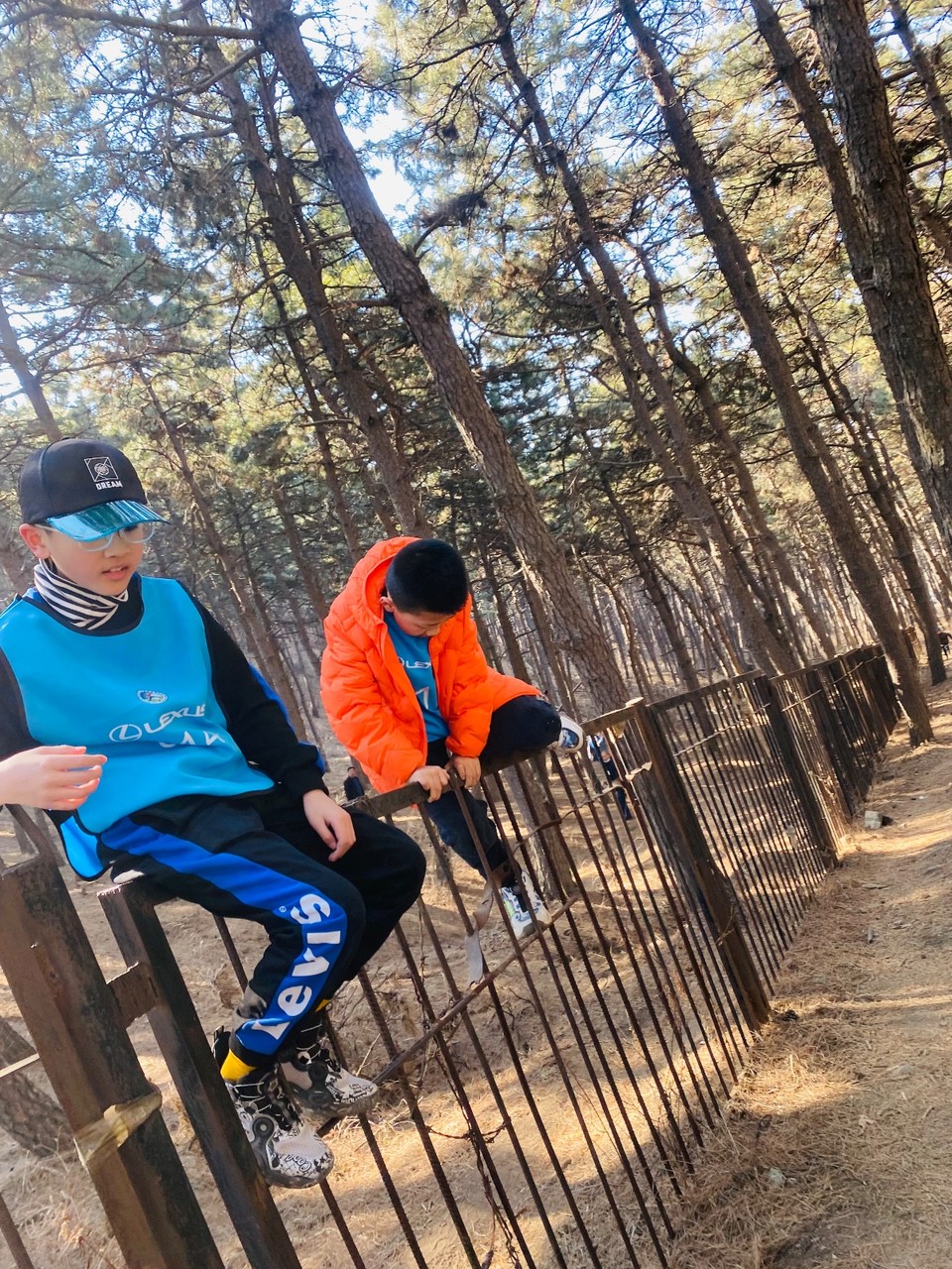 E3F33A36-6338-4F31-AB9D-644AB0F9318E