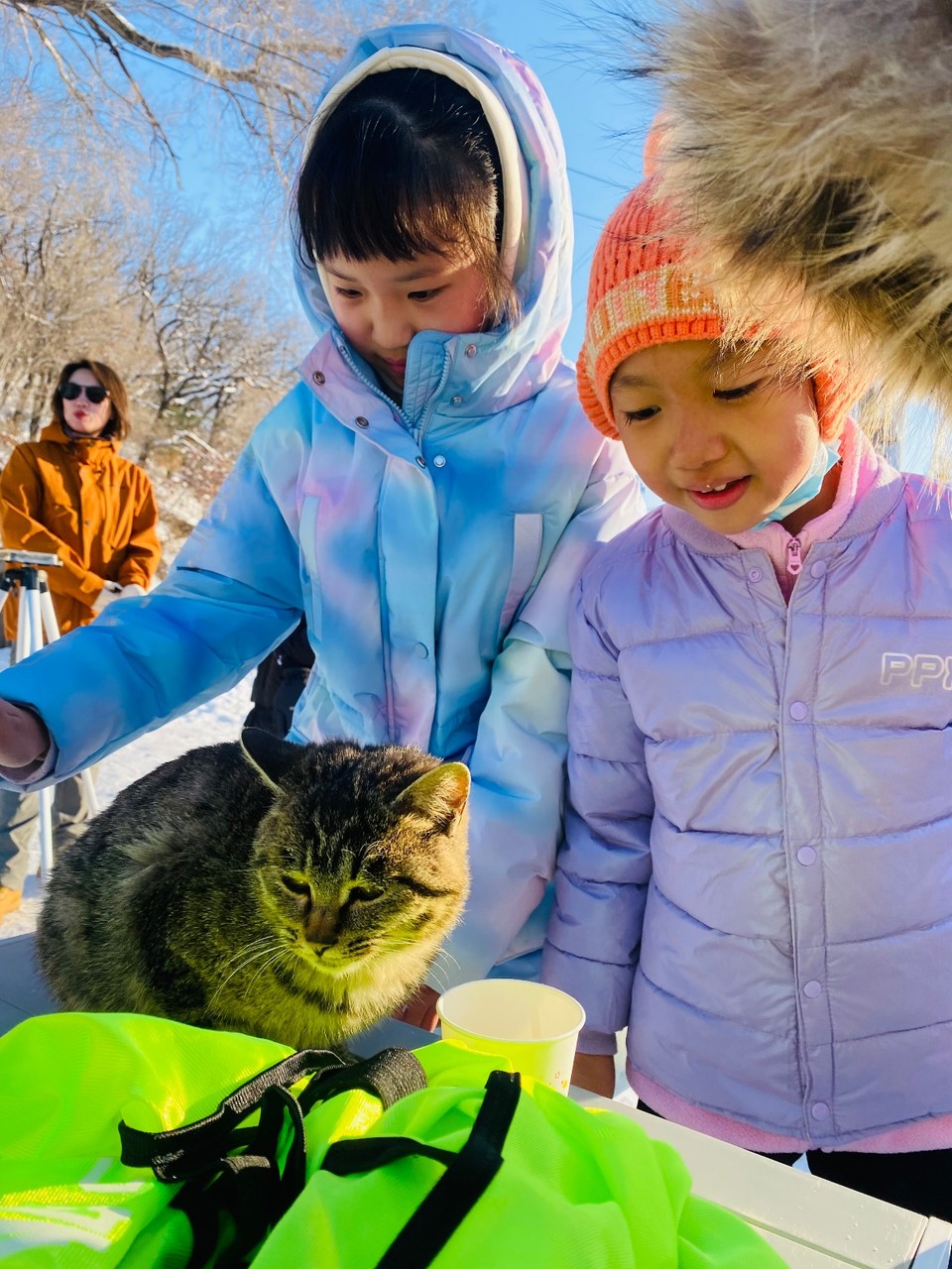 22285ad0e26e38842977daca742c48ca