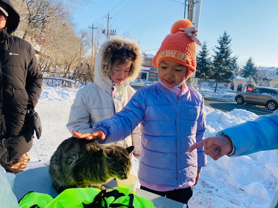 897e98f45c2fd85b141944ef33a968f2