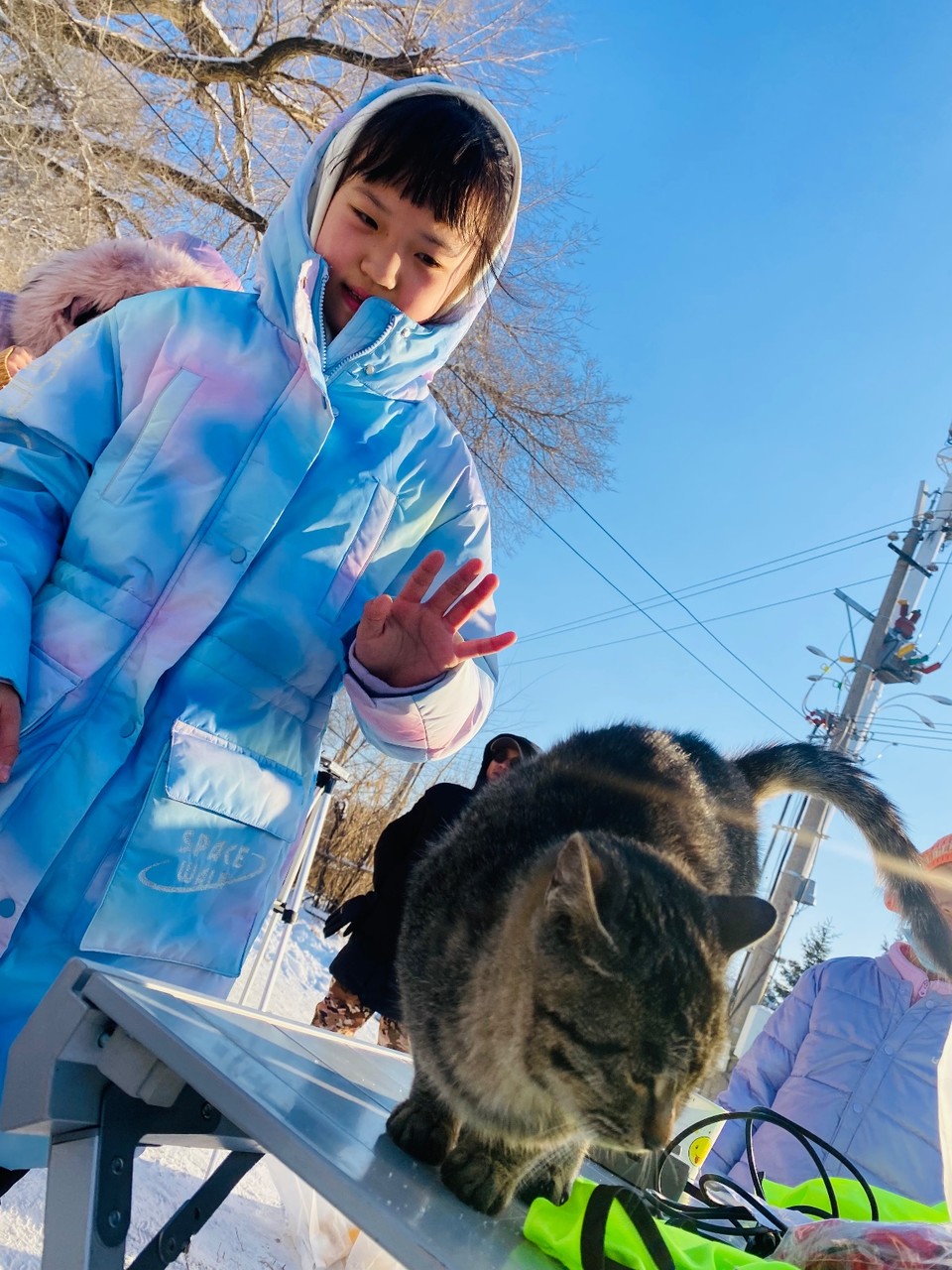 78d5206d3e876d37867fddba9b31e75d