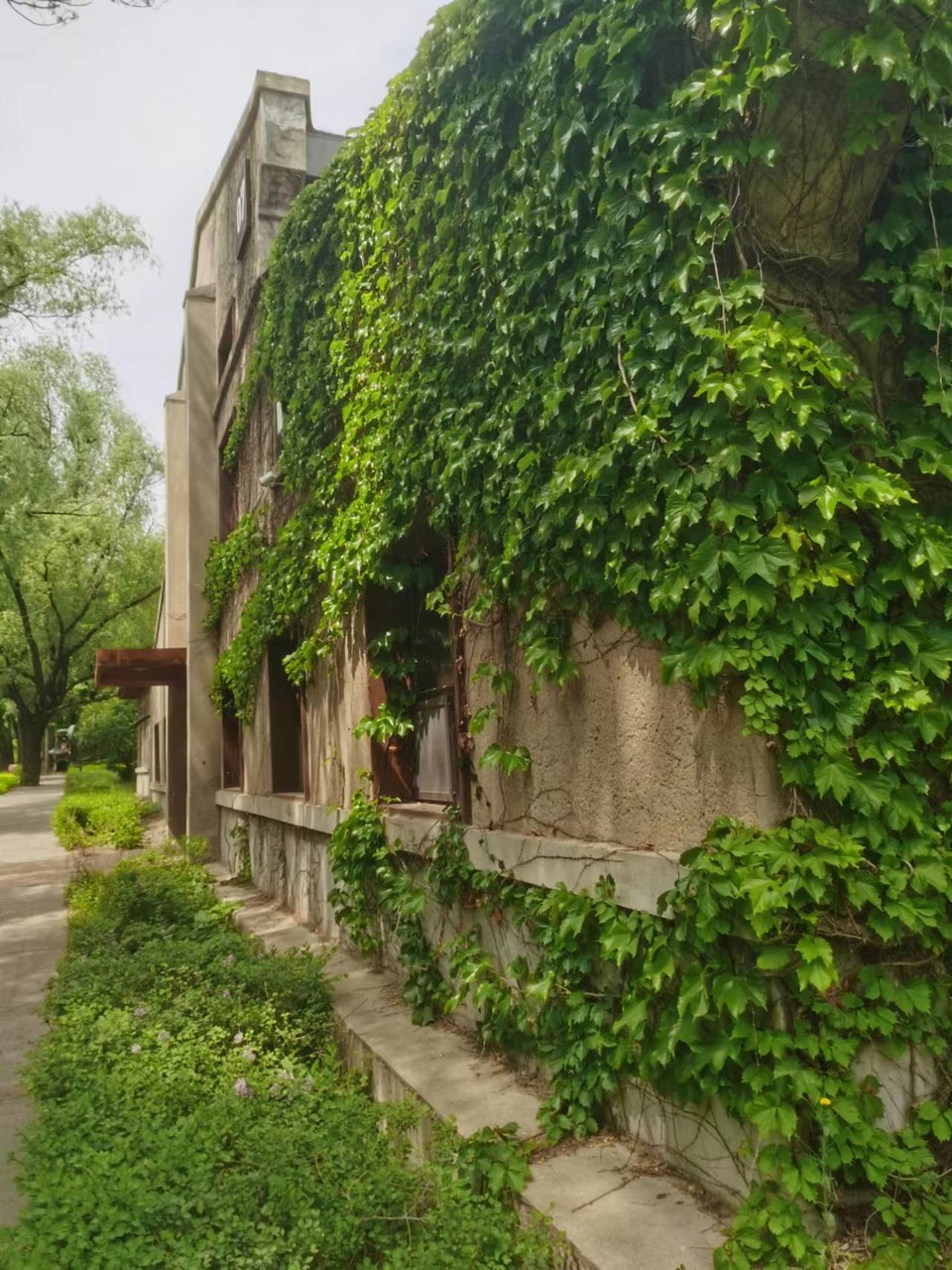 a4nygl_lchisLT83b1PHdrd8oRNl8gXn3De8UQVAtXwNgXmxU_wTDXMEQ0DO9Wrw