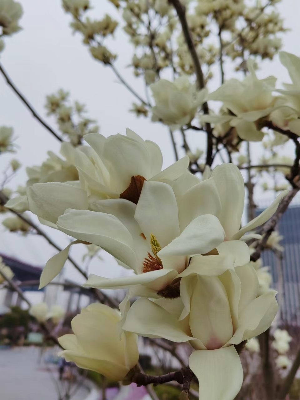 7Ds5-EJiG-vgslGw9C-3TI-TYm5hqC3ie82_D1xyMeC5swFiTofxqWIqdzeCCfm6