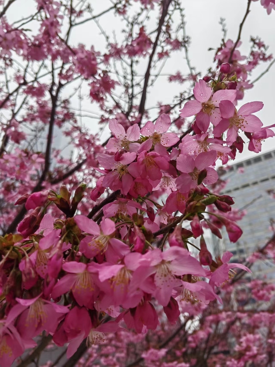 7Ds5-EJiG-vgslGw9C-3TKceosKuRLFAjXndxszlN8vbKMUD1qPmJcd8Vuv_l1Yq