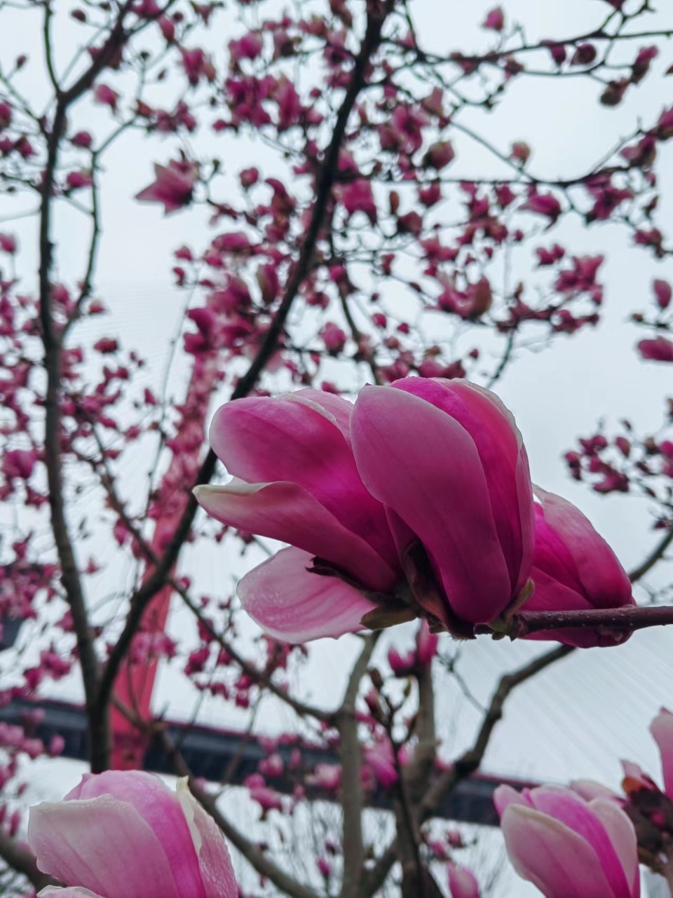 7Ds5-EJiG-vgslGw9C-3TOOUIJLkUAEEq95vXcd2IMVQi0EqaM2SyHC5qRN1LlDA