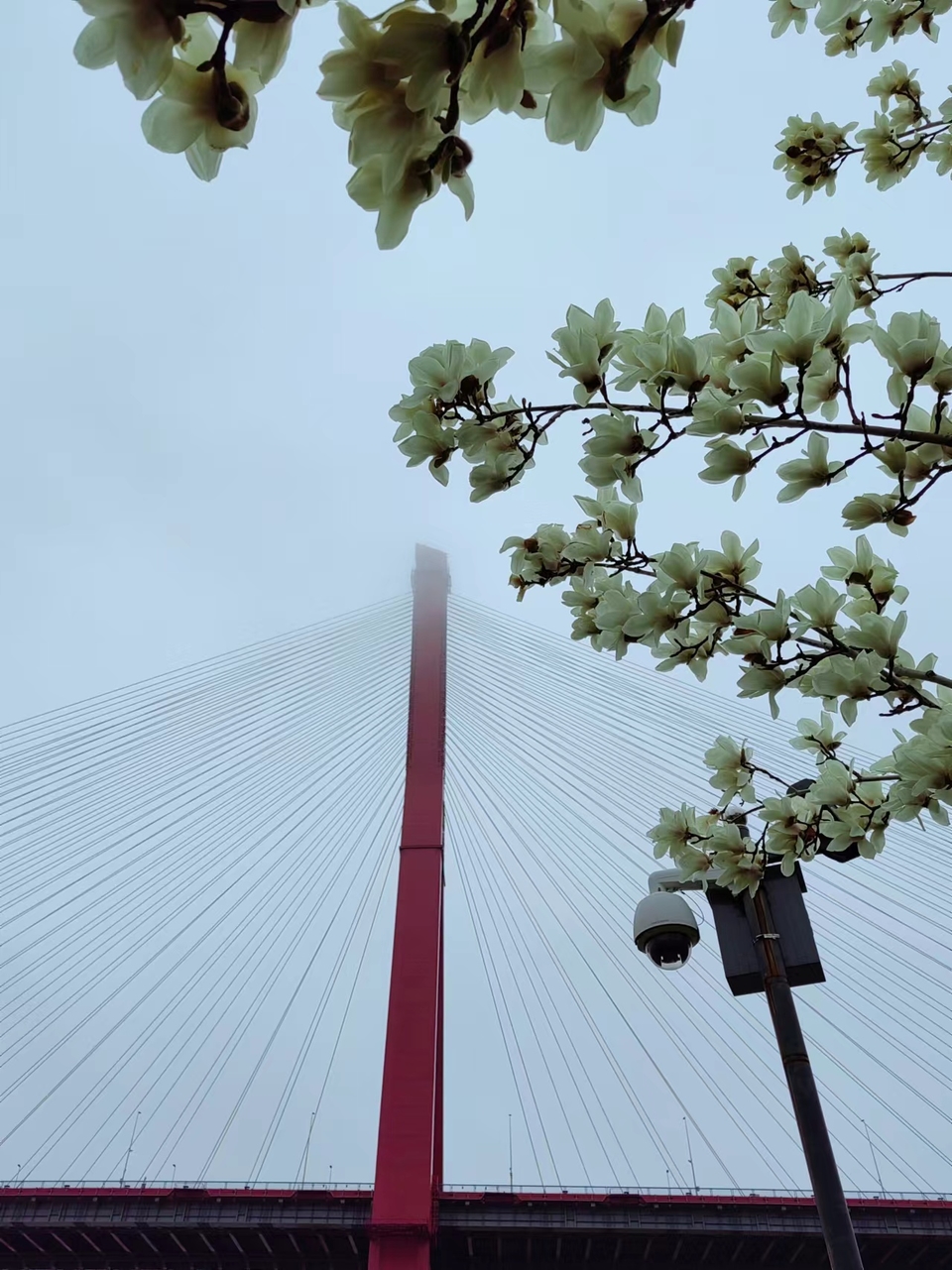 7Ds5-EJiG-vgslGw9C-3TB2Elp3WLSJNo1NgHQIWjPdqDPC2wB7M_dPhYuLb_Bas