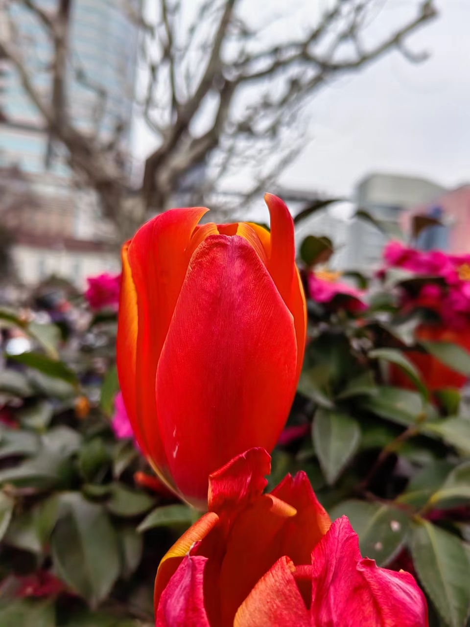 7Ds5-EJiG-vgslGw9C-3TA8H8_xAdpsF8JX5q3mYJ0IA5loOStORgzbE-L7VeLGU