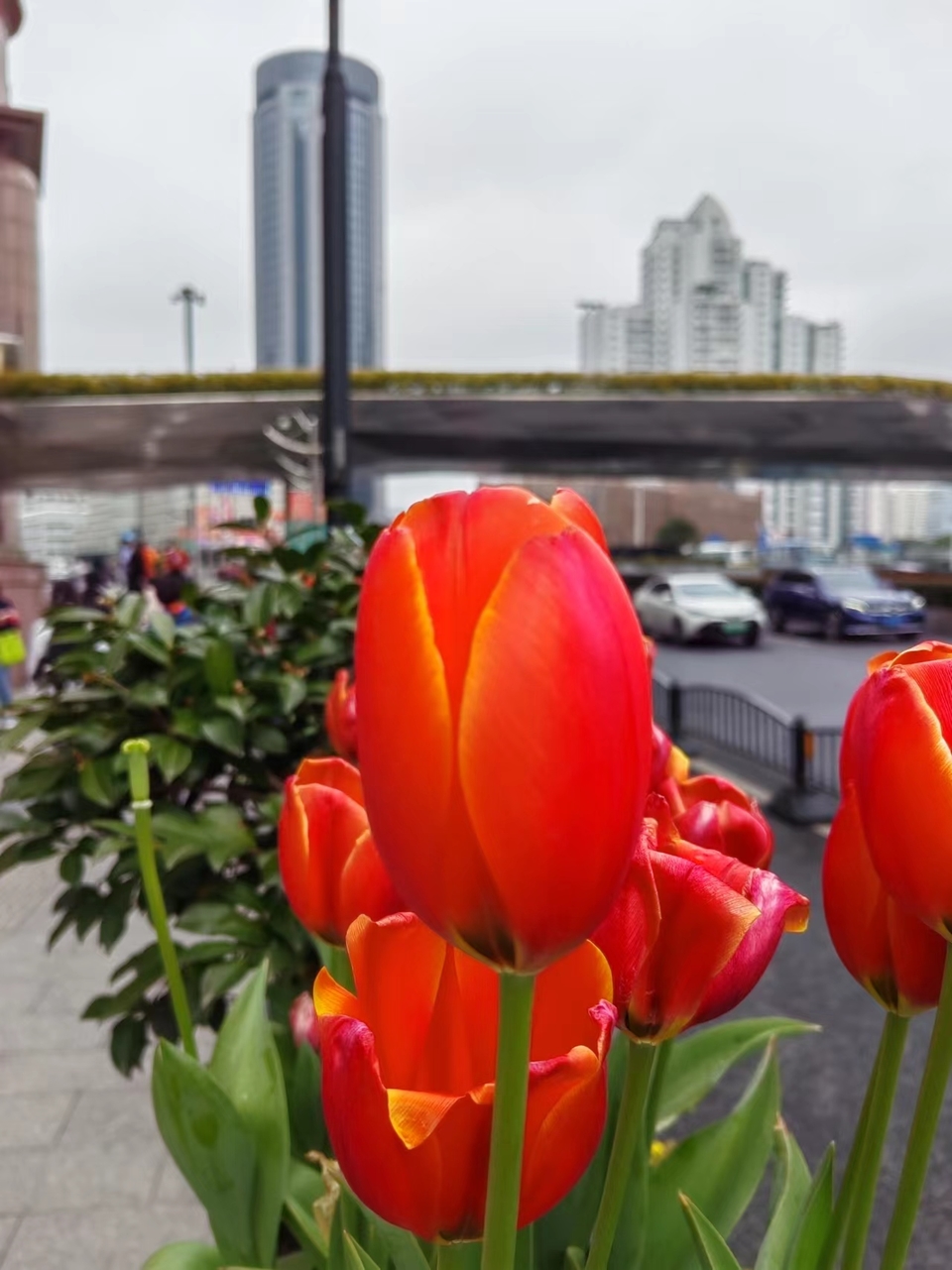 7Ds5-EJiG-vgslGw9C-3TI1ATnjxverQf8vkC5rUmNGL-UGymP4qTwltNjGKWPZL