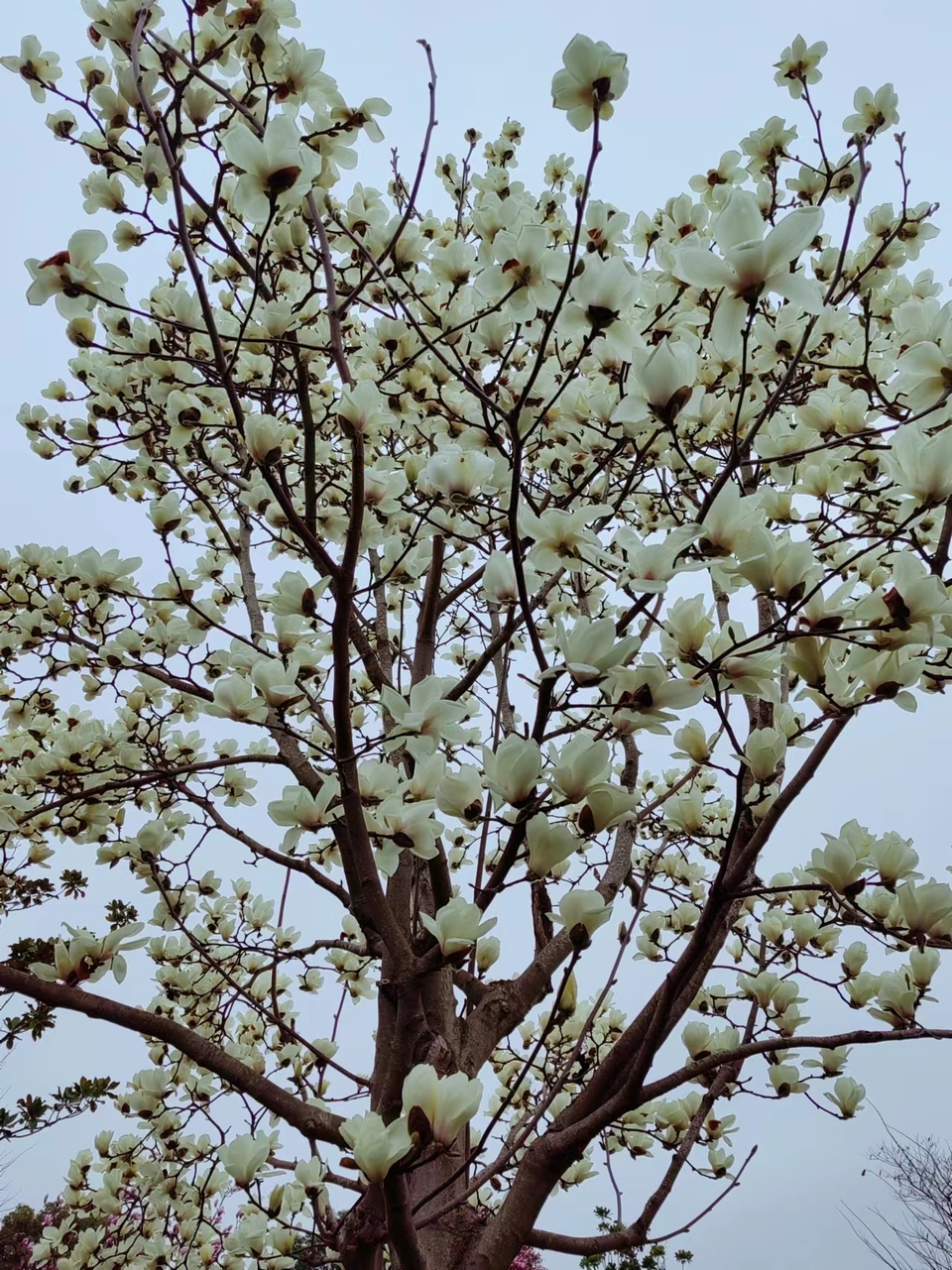 7Ds5-EJiG-vgslGw9C-3TB9L-vn_sAqQgeMLNXZm4_A5mfGOknFShwBawpD-RNK7