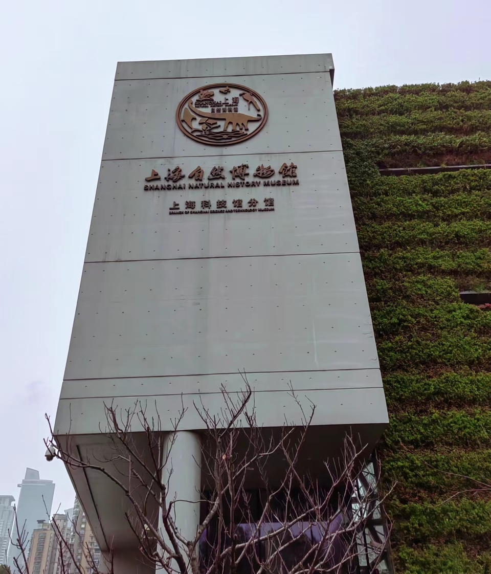 6ahQkYA-zSs4Bw0O3AI3ZOFSjvekcwsI3hSvbZFVzhgKb3-CCREAz5LW06kg3osT