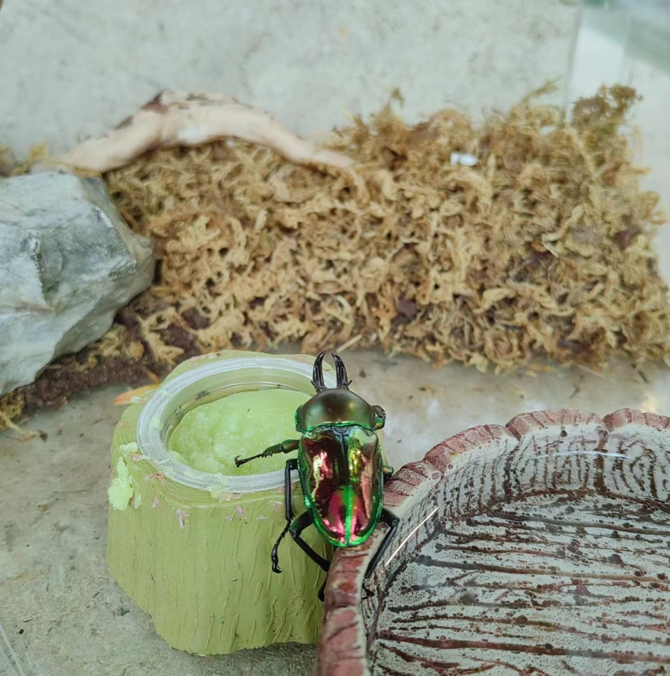 6ahQkYA-zSs4Bw0O3AI3ZBxgfZ-c7G73at6eQQXCAeees_cn3LnFmz0nHavpu5Jf