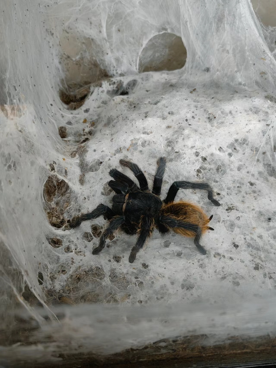 6ahQkYA-zSs4Bw0O3AI3ZM1kbhpPhGFTVD1otNoPRXJVYmHK9G8th2uK-utbzudQ