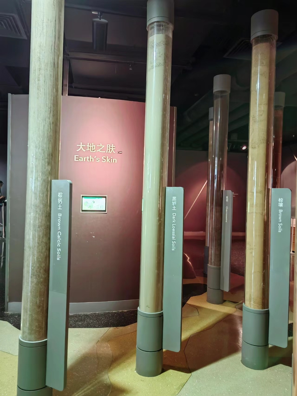 6ahQkYA-zSs4Bw0O3AI3ZM3-87Cvm_pYAUgIJx_jaKxVIDQjHvQ1xrjJXbpatoA0