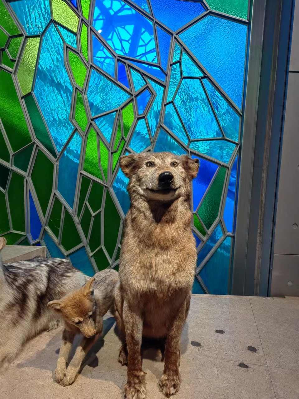 6ahQkYA-zSs4Bw0O3AI3ZNwVx8Gldt1a5JFqCVue8LXXafMq3lybjSIK3_sbL2ER