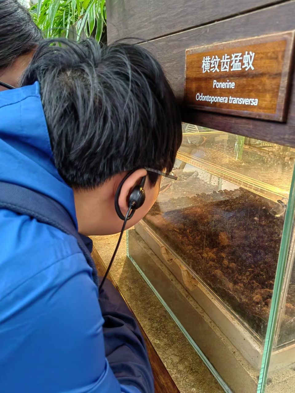 6ahQkYA-zSs4Bw0O3AI3ZJSRRqErLOrvQcWUaaOcdiBbRzPLg8gbHsv6RJ_vsx4j