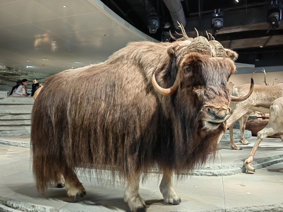 6ahQkYA-zSs4Bw0O3AI3ZKRy4fDVctCr7M8mRNwR53yJ5gx_l6c3lWCxsL4GqQFz