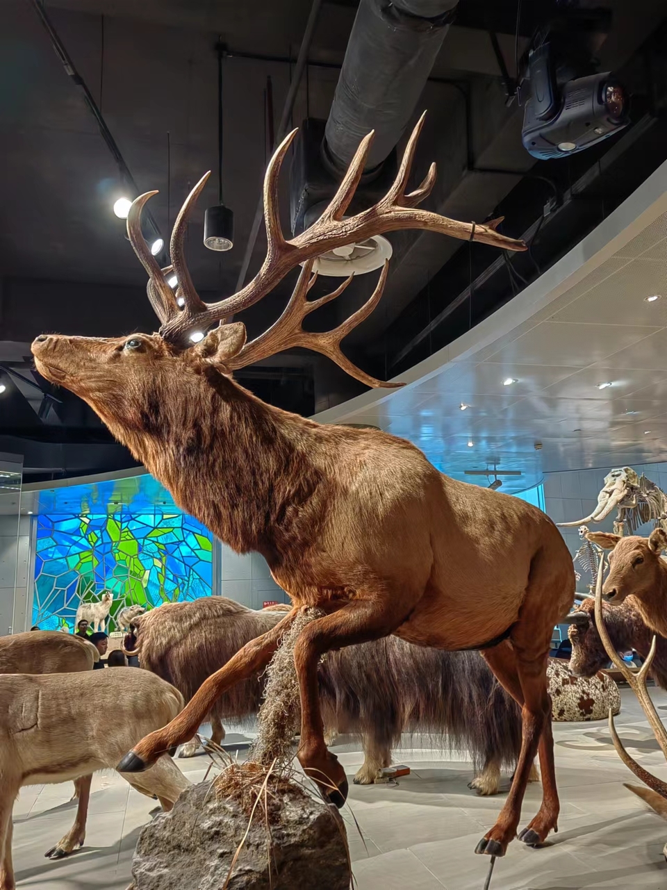 6ahQkYA-zSs4Bw0O3AI3ZP-ymHpkptwph5LtrjzS9S842gLA82vRXt8pGVtUe7_a