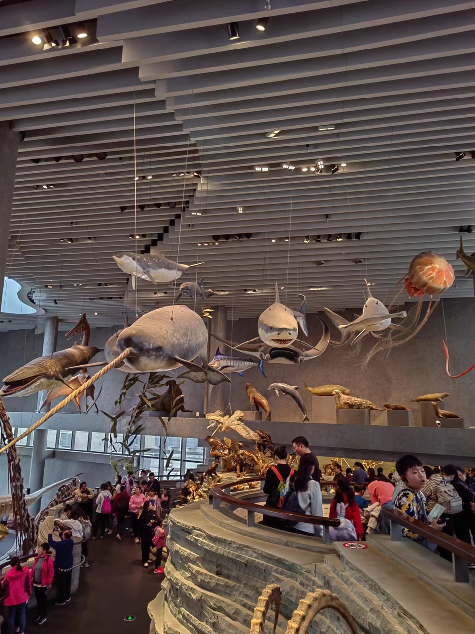 6ahQkYA-zSs4Bw0O3AI3ZK9cpvFF4eXmwN-RQudehgLJE_80MKdb310a9SZo1EL7