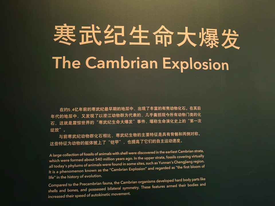 6ahQkYA-zSs4Bw0O3AI3ZE6NUIr5eI95vawCMFEZx5tqa4J60u9baJzB3JMgL43d