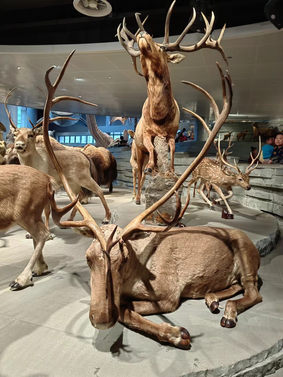 6ahQkYA-zSs4Bw0O3AI3ZNoUuyI03AYguJTNFJ80AXb-7ZmlIqW92EHHS8PQ9sHa