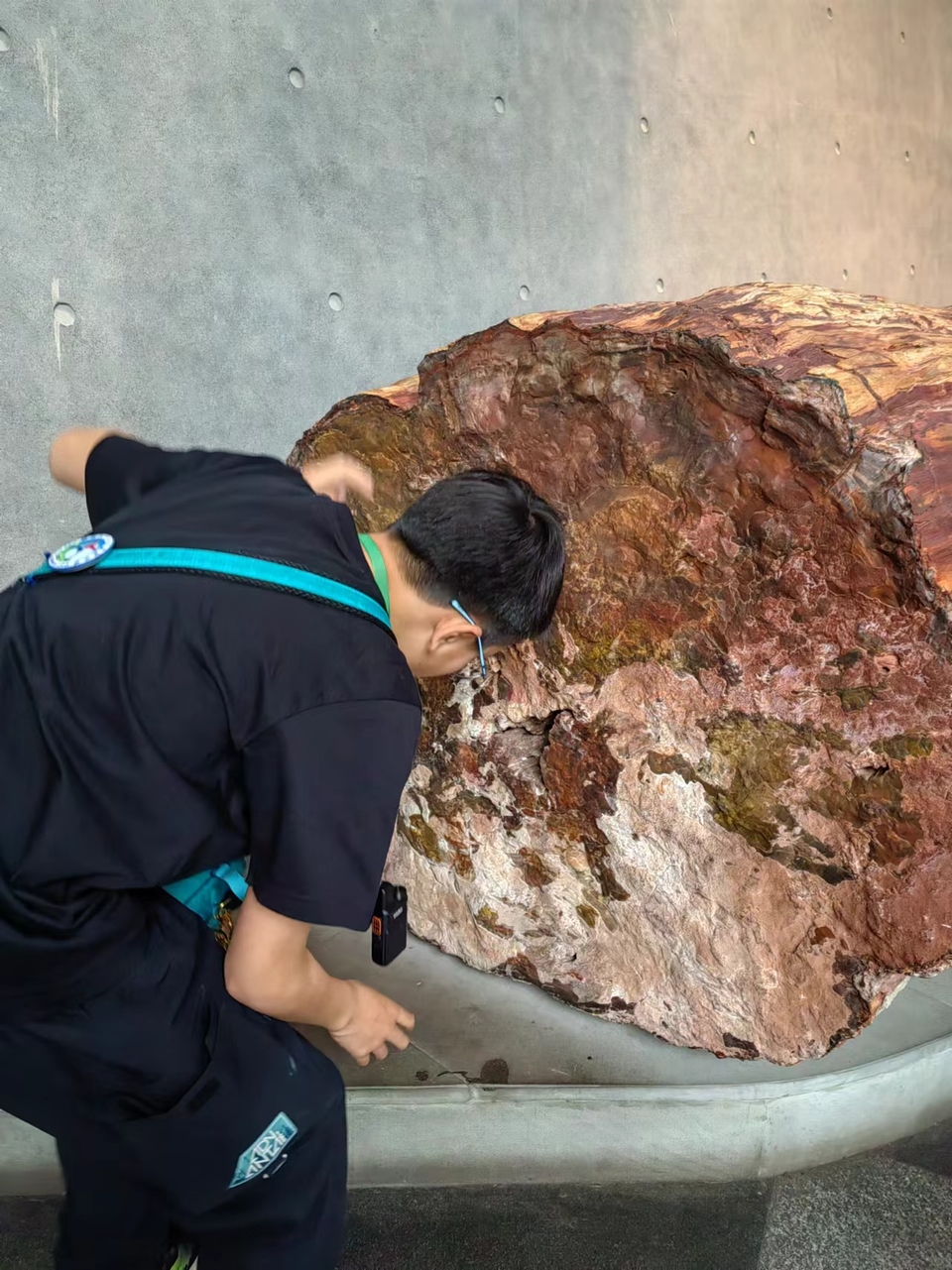 6ahQkYA-zSs4Bw0O3AI3ZCOuH0jAGjP4JkyqVXsQRZDrc-NMp-EMEuz7tzHdCZWJ