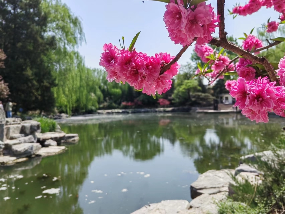 QVsLHsa_CpTL0ptkEjDAJAH1rpbr3WNjmWBN-eE11Aeicbt-8jwBU_7G4exbZeOa