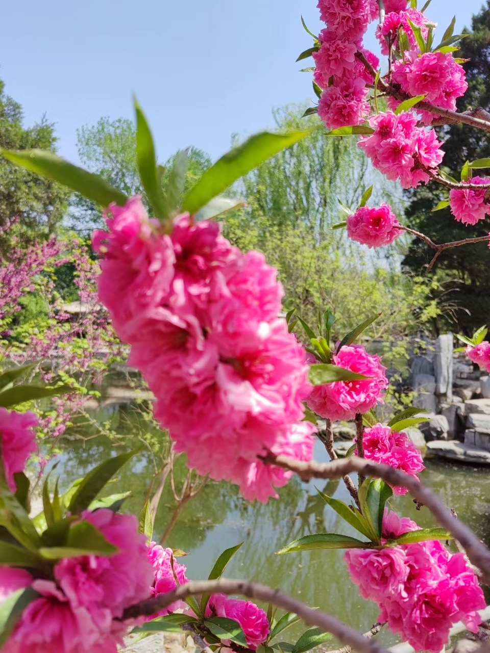 QVsLHsa_CpTL0ptkEjDAJLivVRjsNBFblZqoHtRmw0TZl1PWiL2z1M0Avpid7UrA