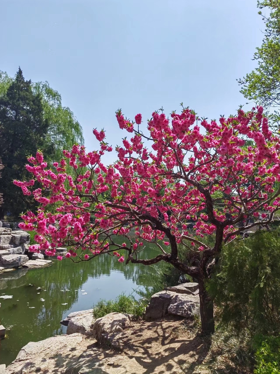 QVsLHsa_CpTL0ptkEjDAJBHMHyaLLXLt6PNP8CEhz2Tgr--3mUdiyGSsUkr8obkm