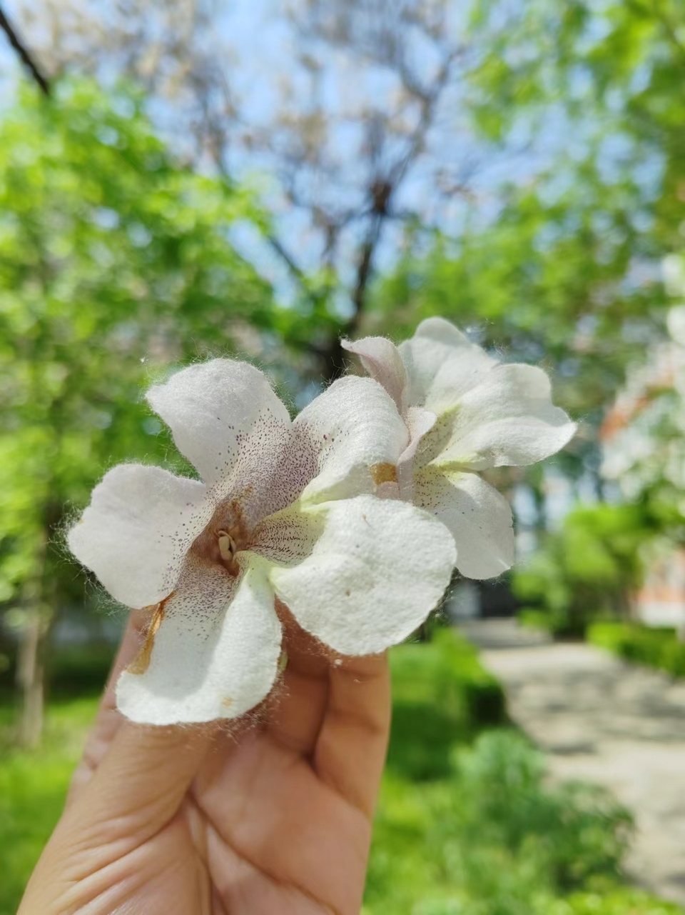 QVsLHsa_CpTL0ptkEjDAJAddwNF47-0tDZQRUujsMJlxjdNQdt7d2_vbYEM5lNdY