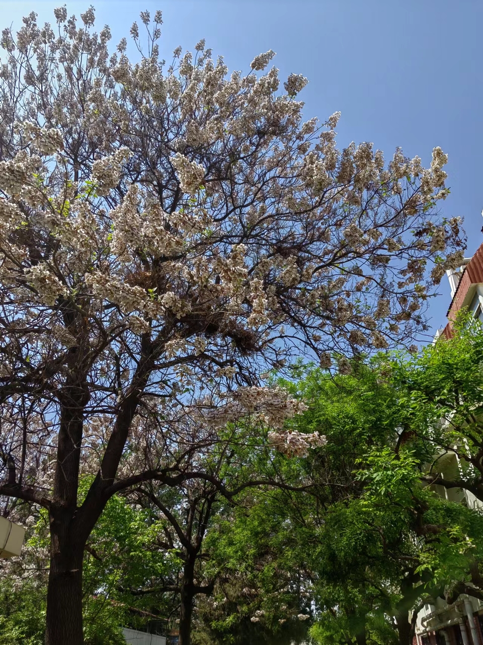 QVsLHsa_CpTL0ptkEjDAJGCYT9CqhfexqfMOcNbOWqGVtFIC6VAK0Sh89AKcA9kB