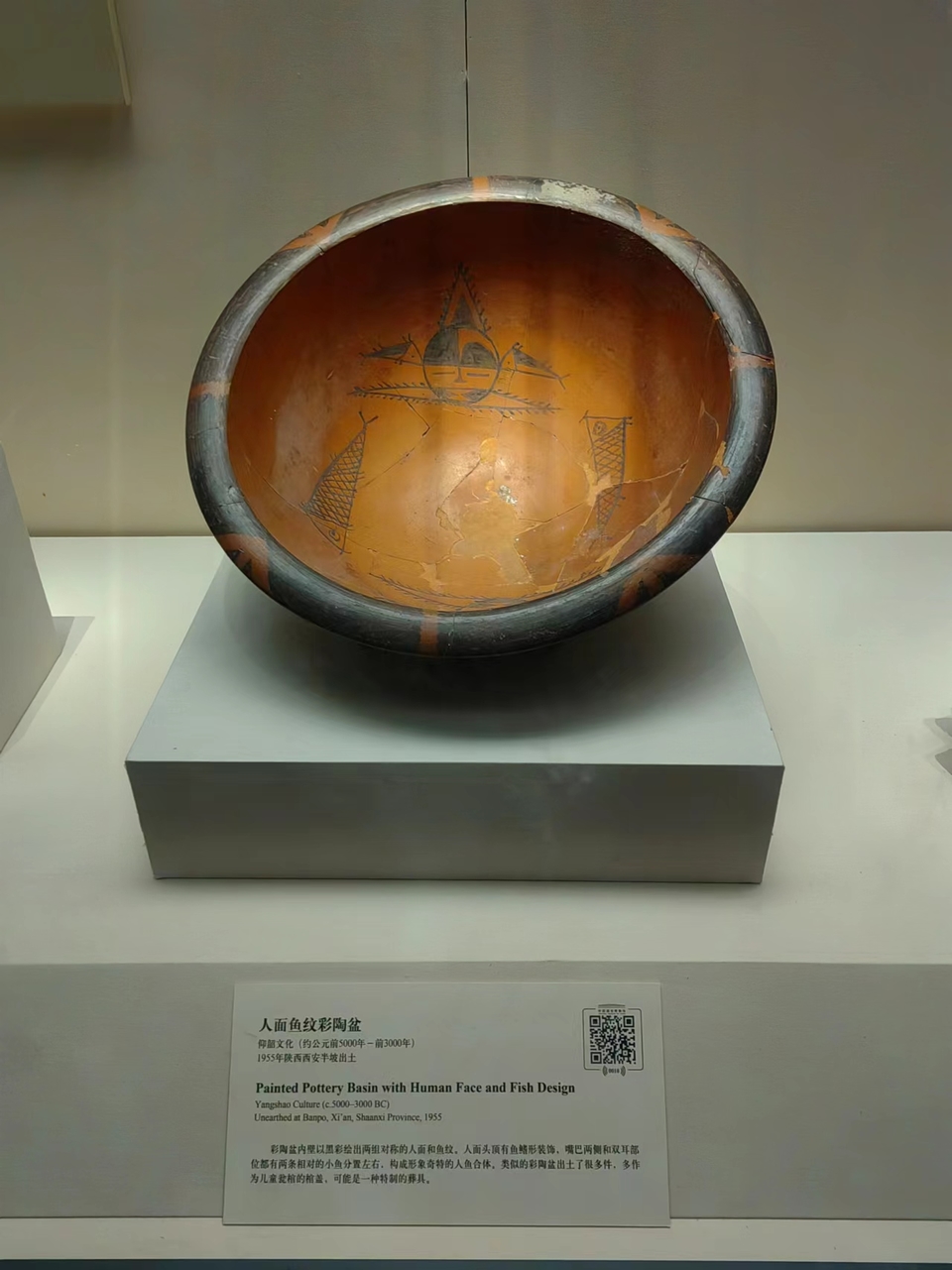 QVsLHsa_CpTL0ptkEjDAJHViN1qBp6IieEeSRsUeLcTQrMhDMeHVM8Mi9TZ-7BmP