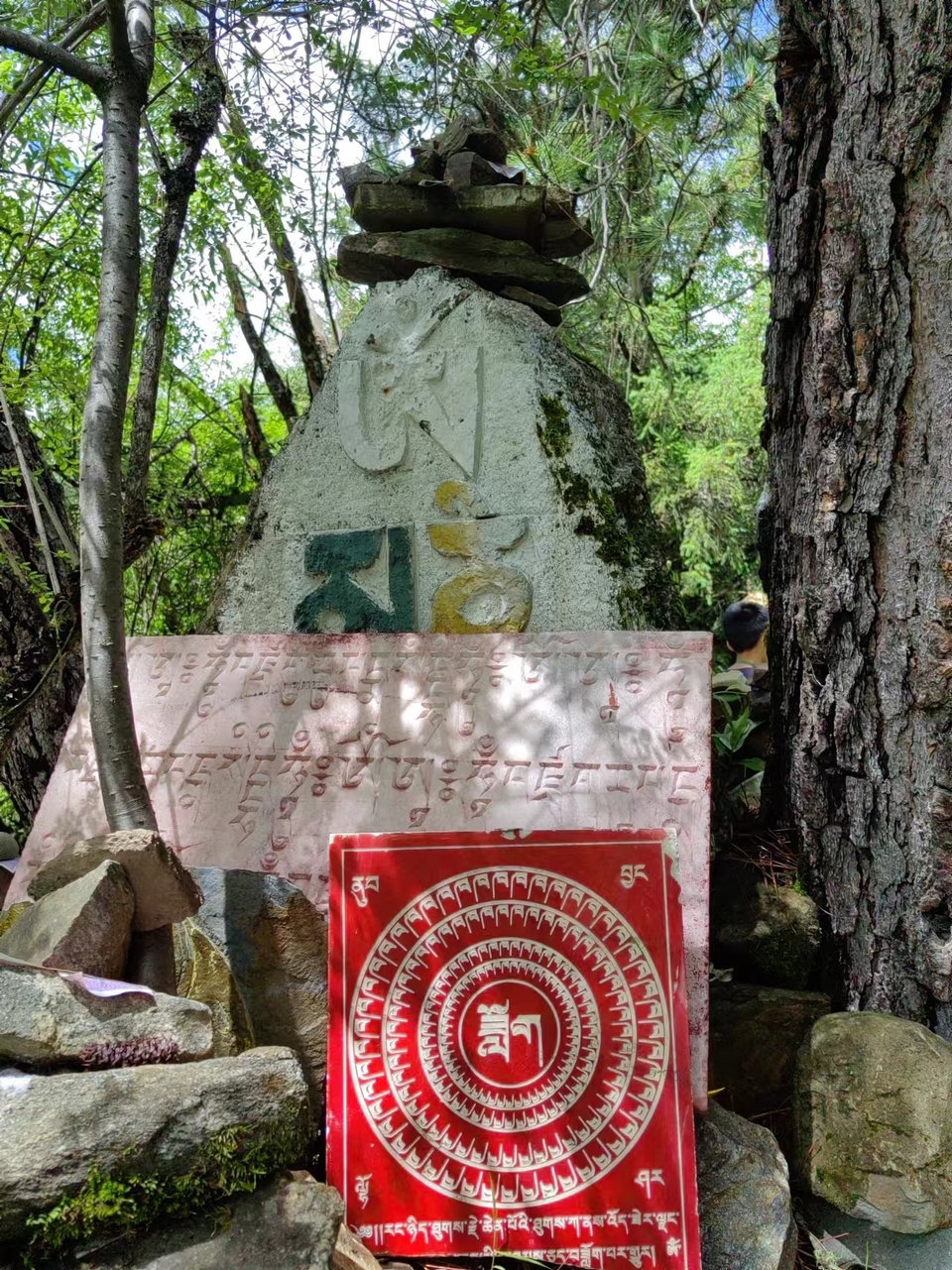 6KvP8R_Oaw-V_Q6wj7wem30CVminGtITIOc_4INw5cnRaH58cne1v5F6D2iS9YNr