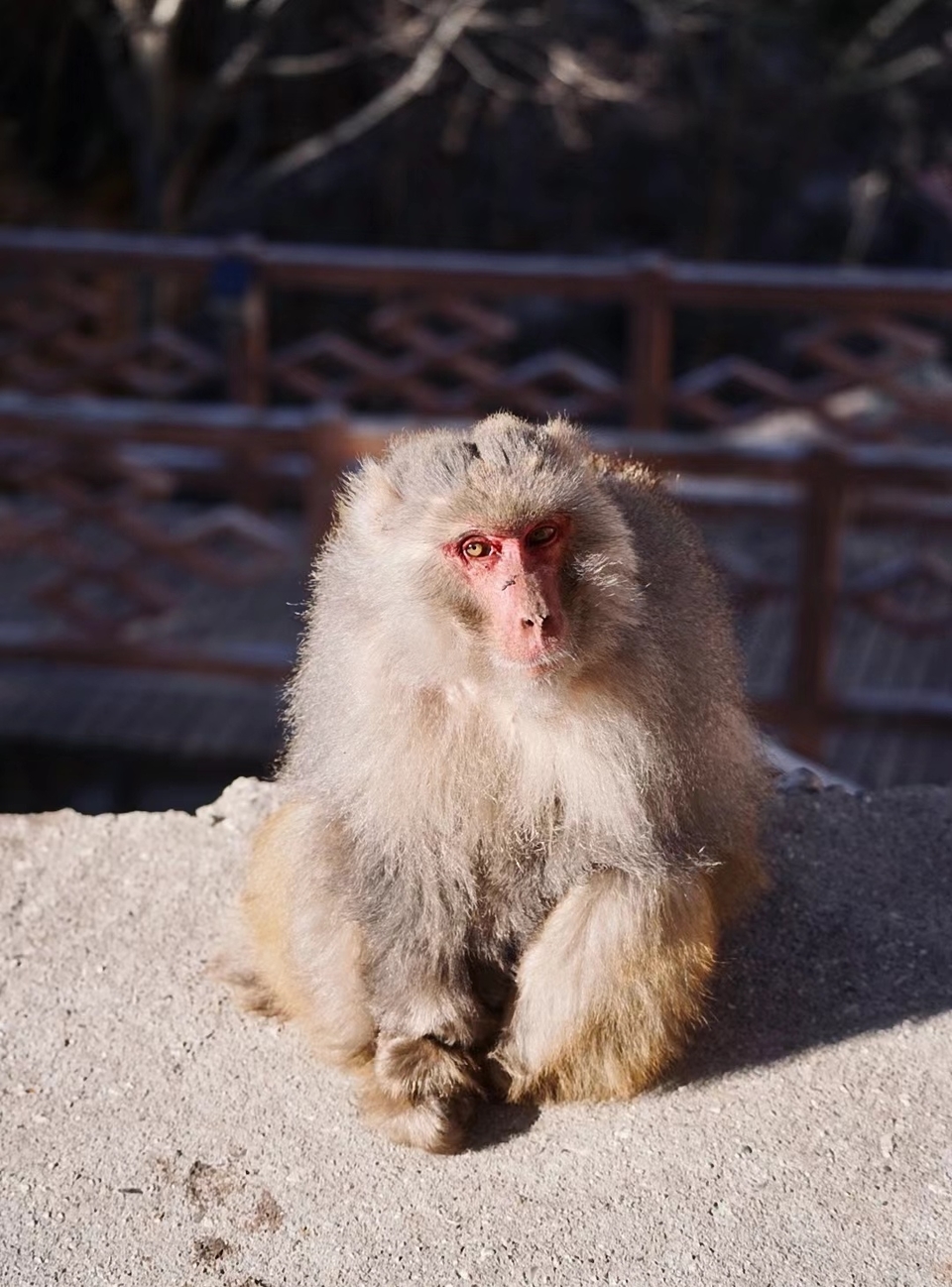 J3Mm36ALlLLFp98cpHQY9cHmD8NxiscefPM0SIADlU-WDGu621m8oz8sH7eoIJDh