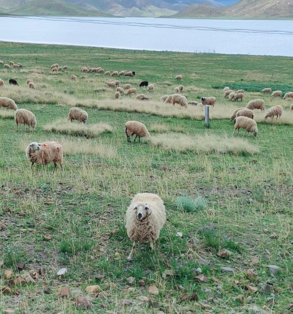 HS7SV1B9CkbuKh2YKzMsvBgUinFF8W1vTaRa5DESTywnmPtrRoUr5NJljfuG2BvR