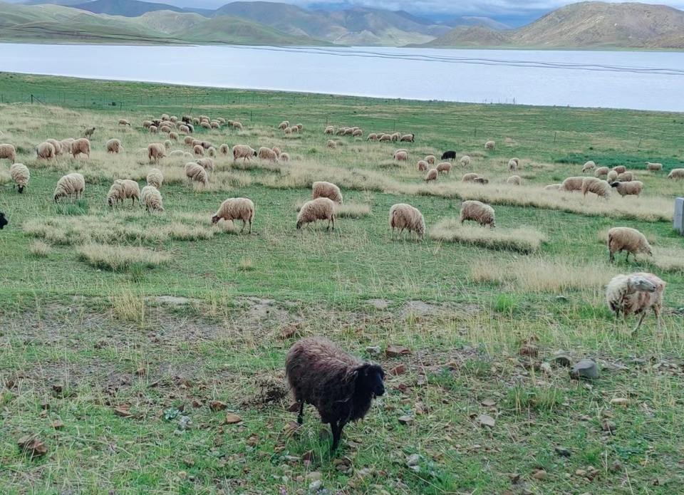 HS7SV1B9CkbuKh2YKzMsvFPiDdONrmbpJi21ZDZip31J9J7oawBRDeN8UyelatLN