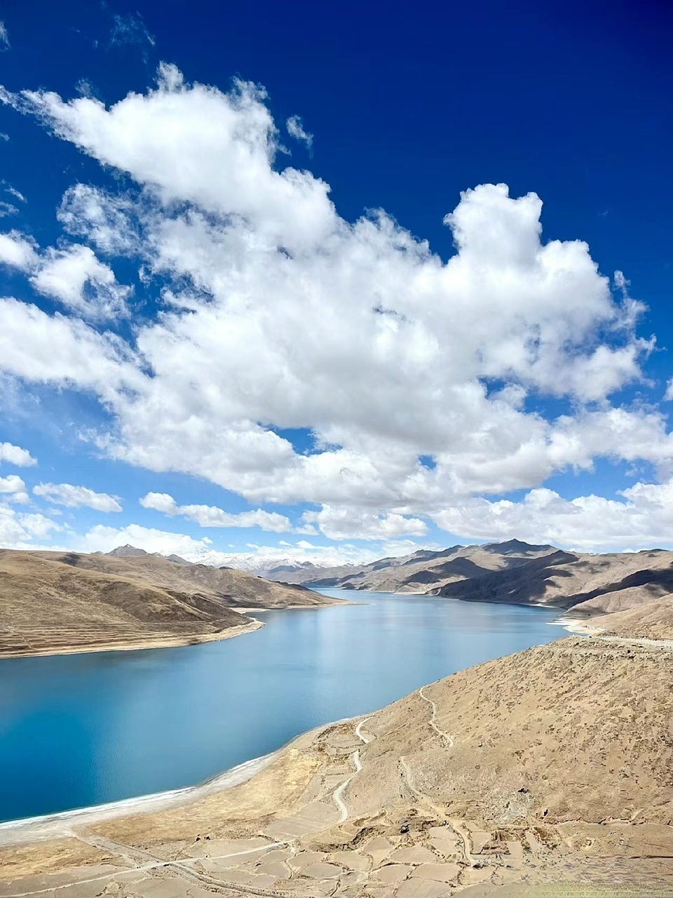 HS7SV1B9CkbuKh2YKzMsvAVk4cNM-2aHlsuzzte49T9jCHvyqwyw9W2poZ54dAEC