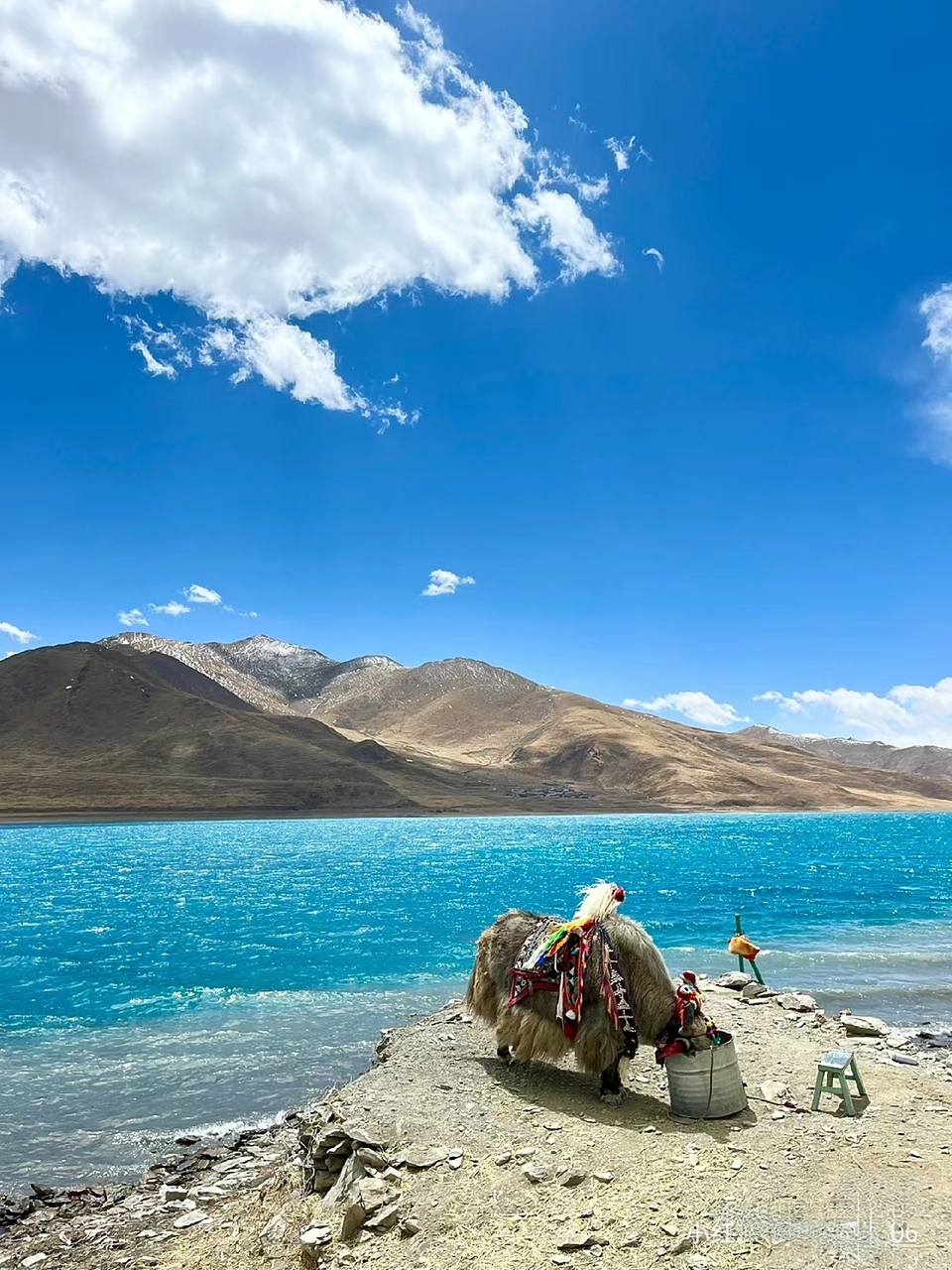 HS7SV1B9CkbuKh2YKzMsvOm2MsIXYwZdOh3KKHJOO_uv6J9QwNz4E3Mnbkz9nEgS